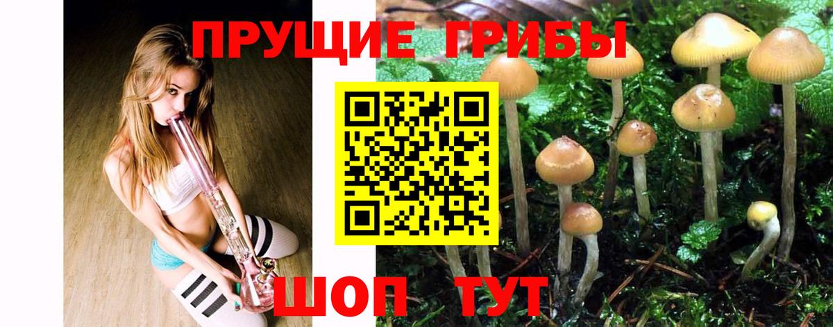 Псилоцибиновые грибы MAGIC MUSHROOMS Острогожск